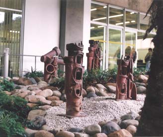 universidad-Blumenao-brasil-1983